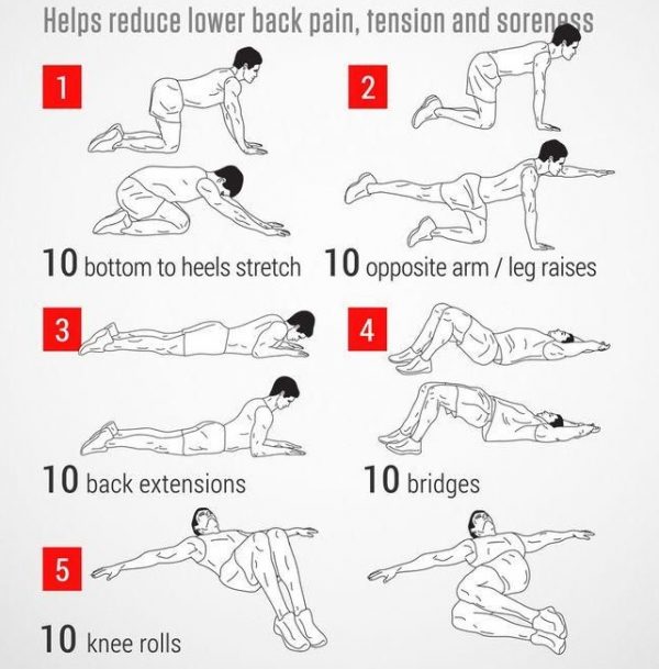 Back Workouts At Home Tricep Workouts