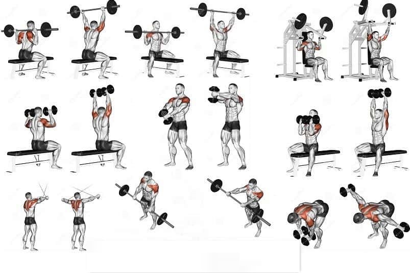 Shoulder Workouts Features And Examples